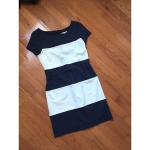 Banana Republic Shirt Dress